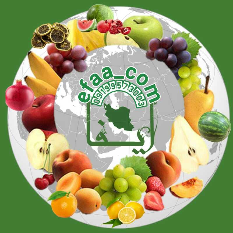 کلینیک تخصصی مبل