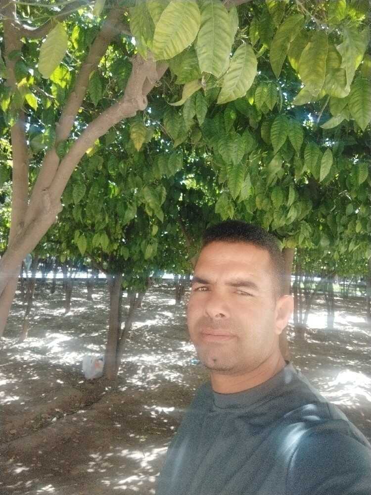 مصیب کرمی