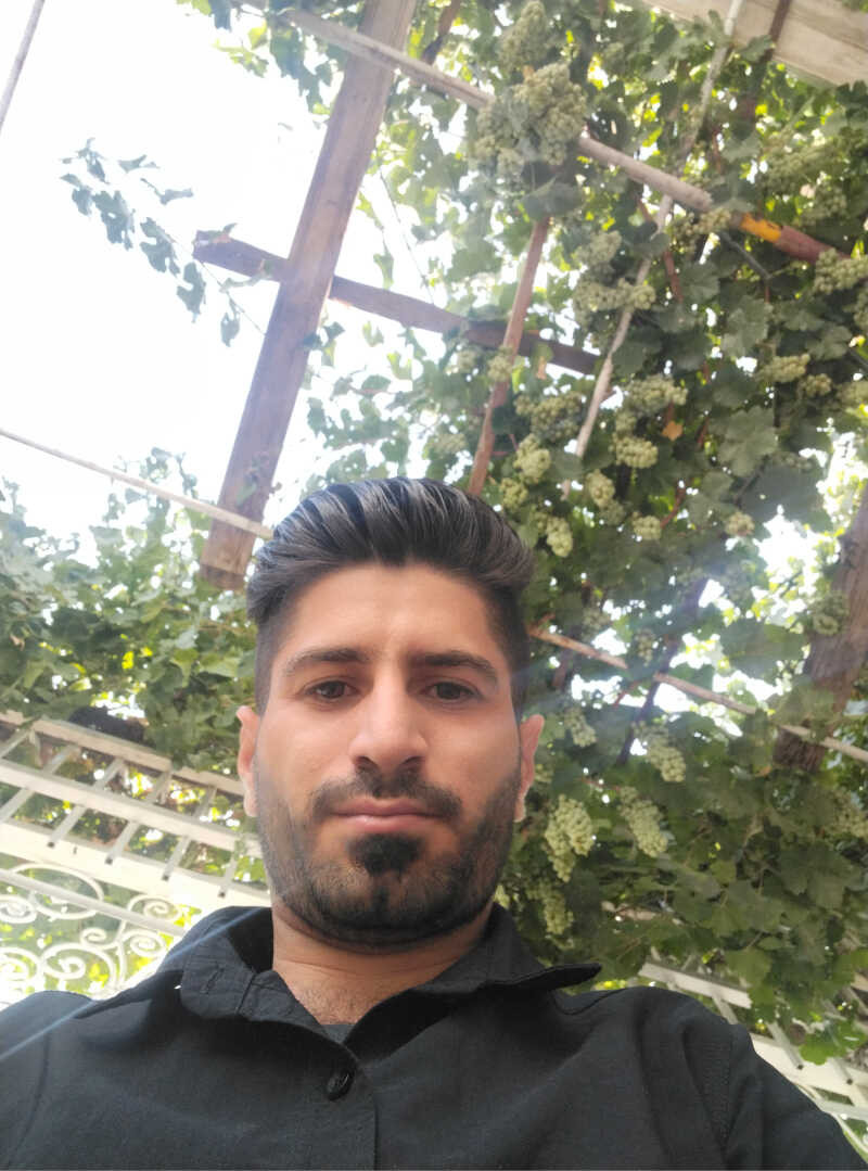 رضا نجفی