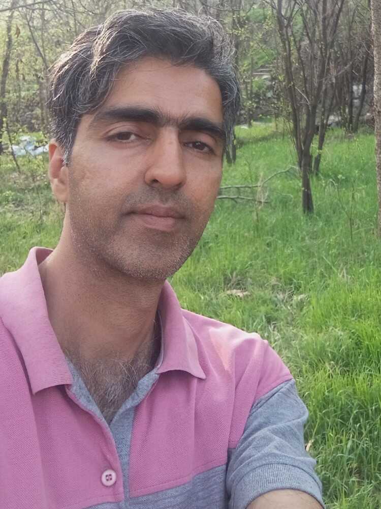 محمود محجوب