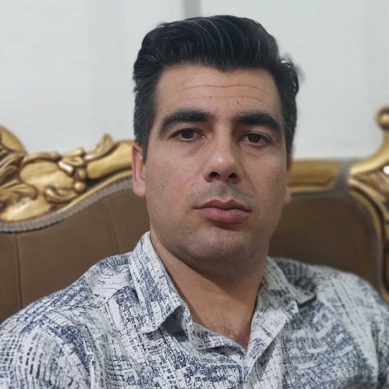 فرزاد ممی زاده