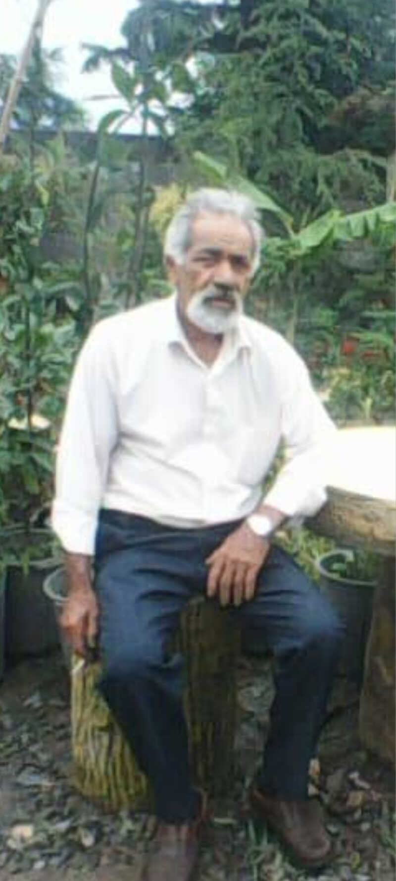 محسن احمدی
