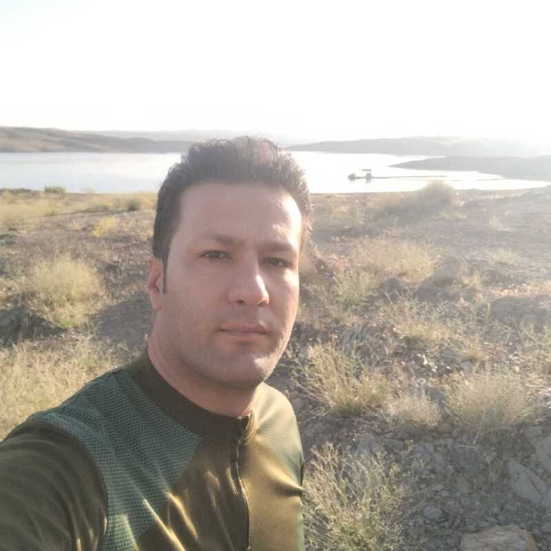 وحید افشاری