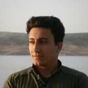 سعید محمدی