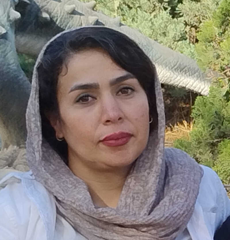 provider user card avatar