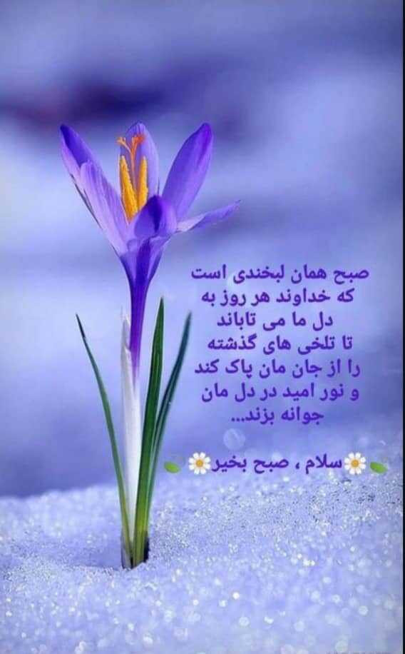 گلثومه شکرگزار