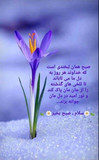 گلثومه شکرگزار