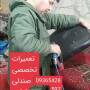 مجید حسنی