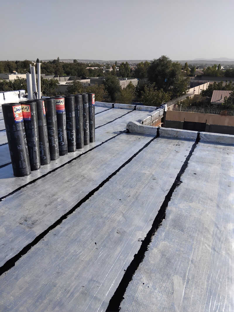 علی عبدالمالکی