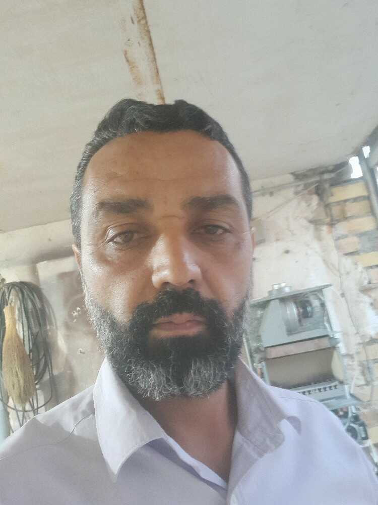 علی محمودی