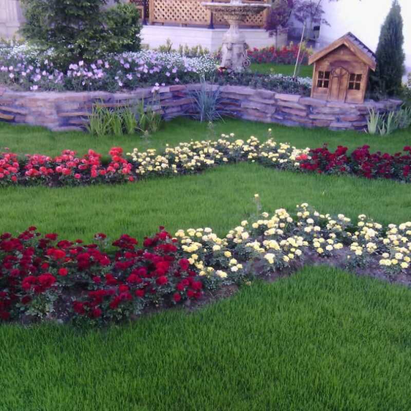 هیبت اله کریمی