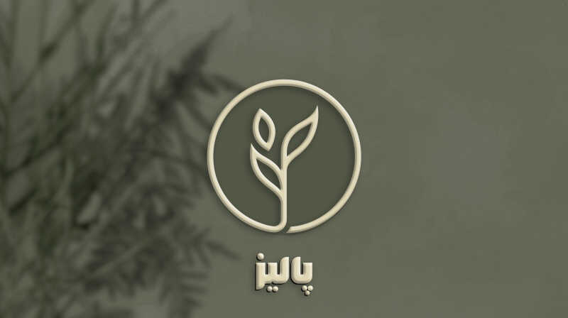 provider user card avatar