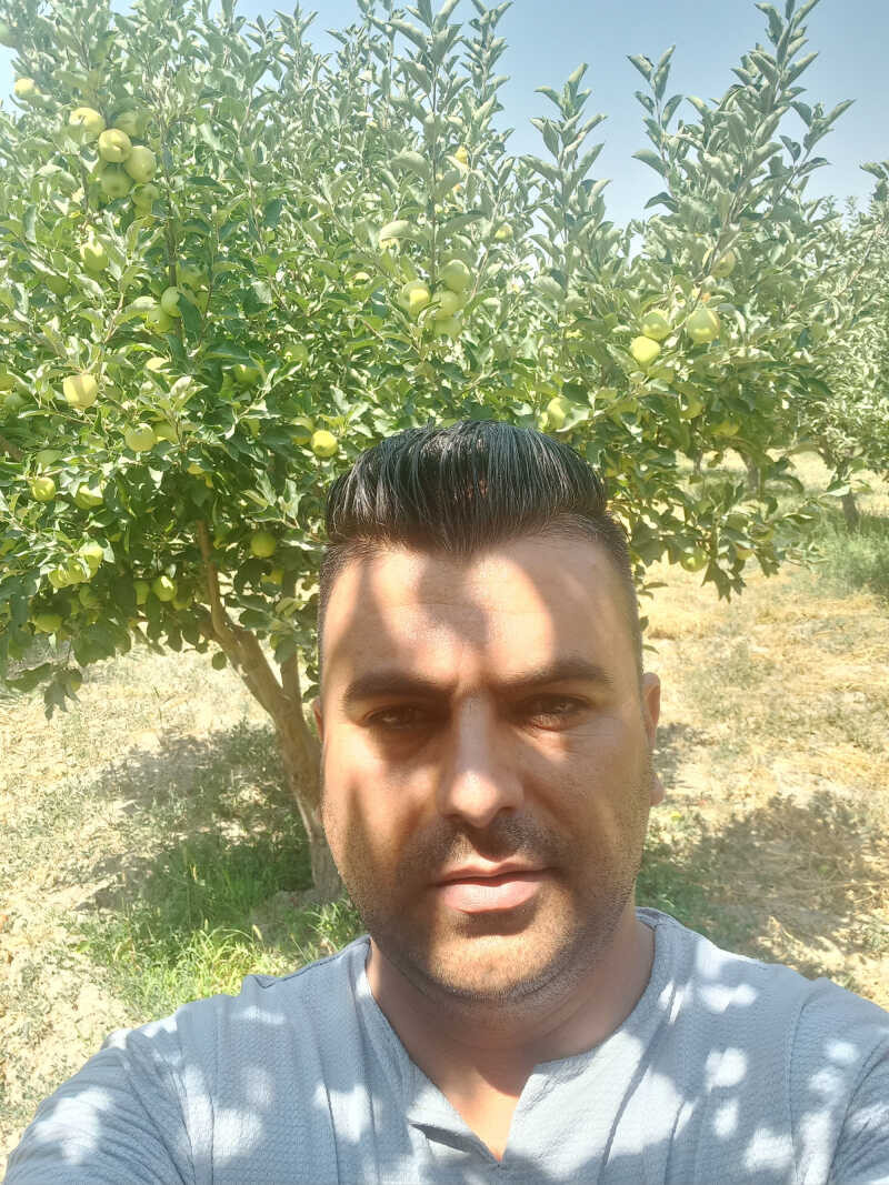 حسن طالب زاده مایوان