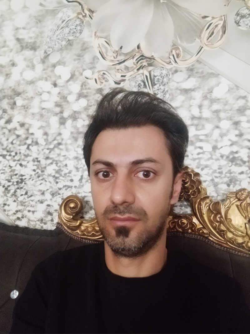 حامد احمدی
