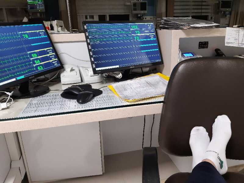 ندا ذوالفقاری