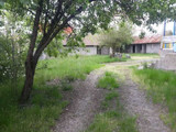 محسن رضایی