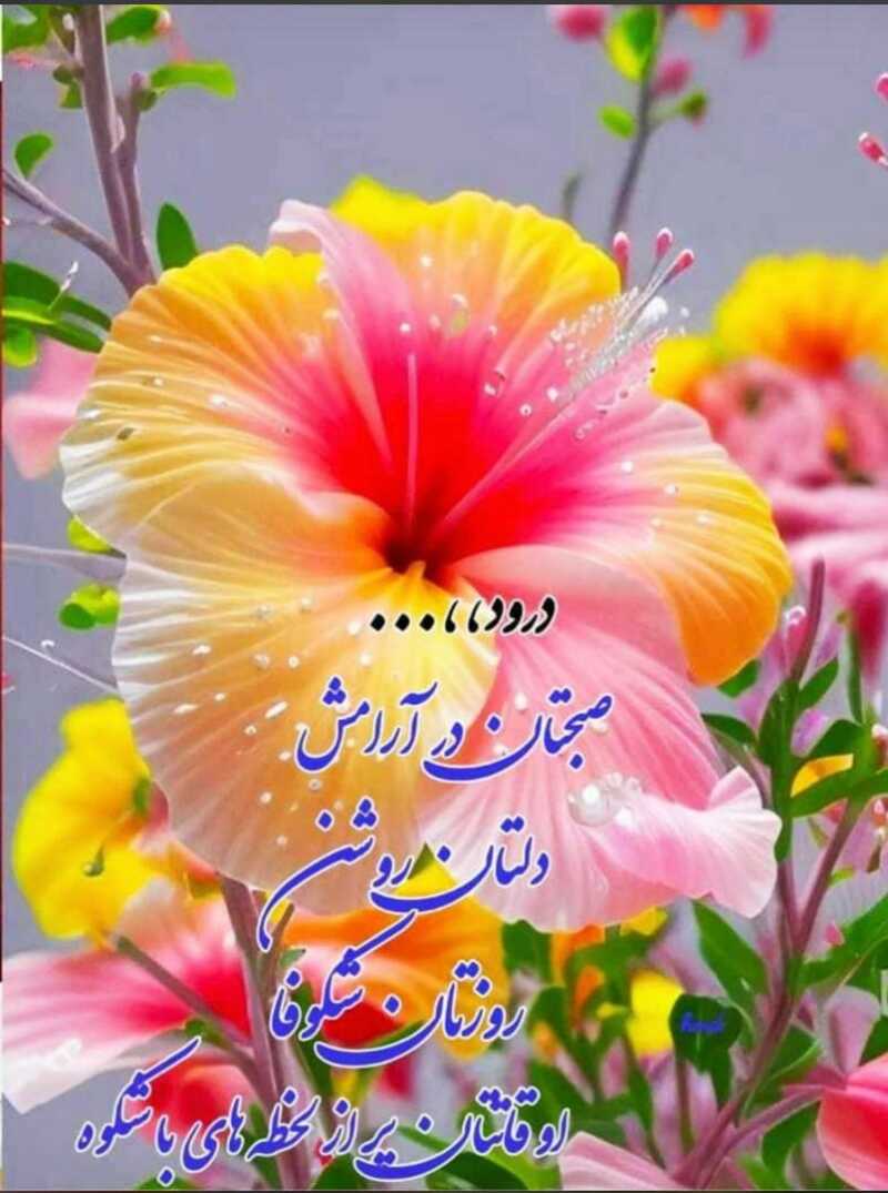 provider user card avatar