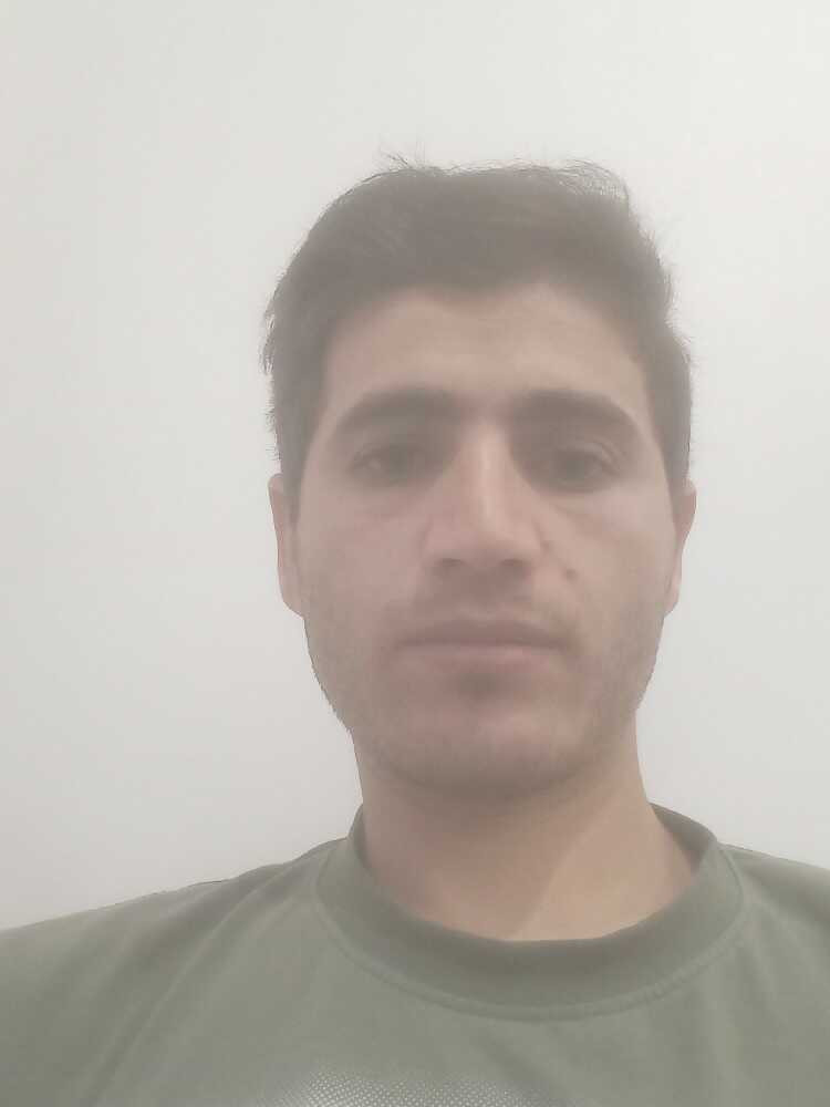 حمید مرادی
