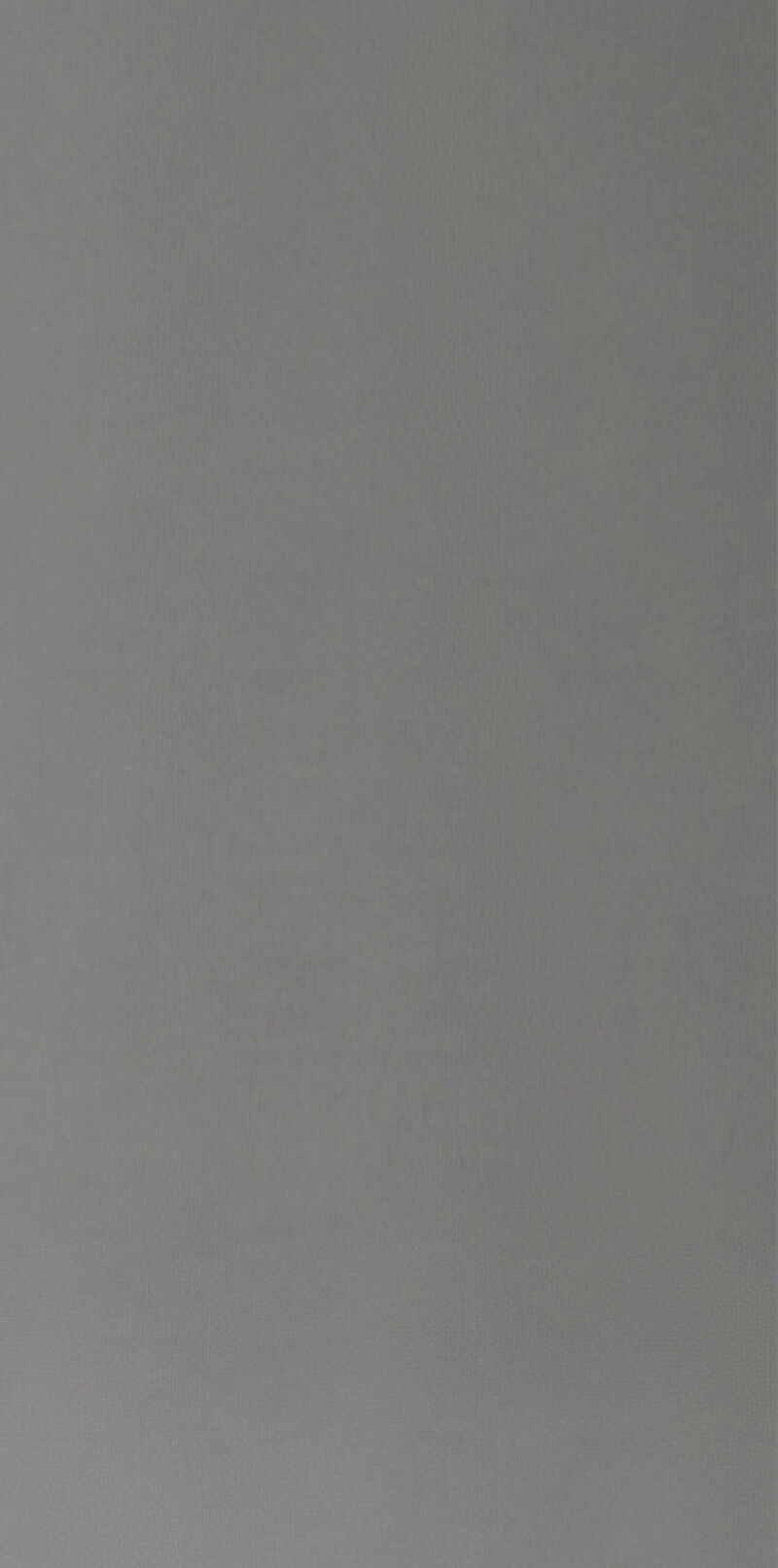 علی شیرمردی