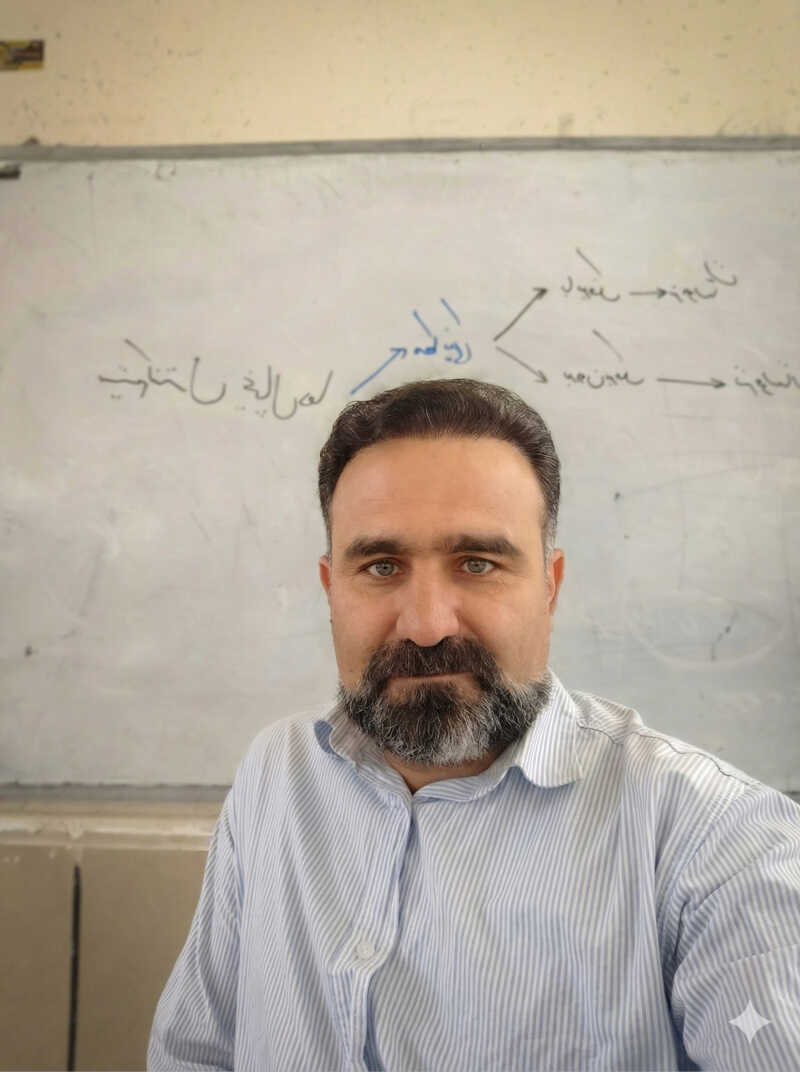 امین محمدی