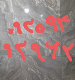 امیر تقی زاده
