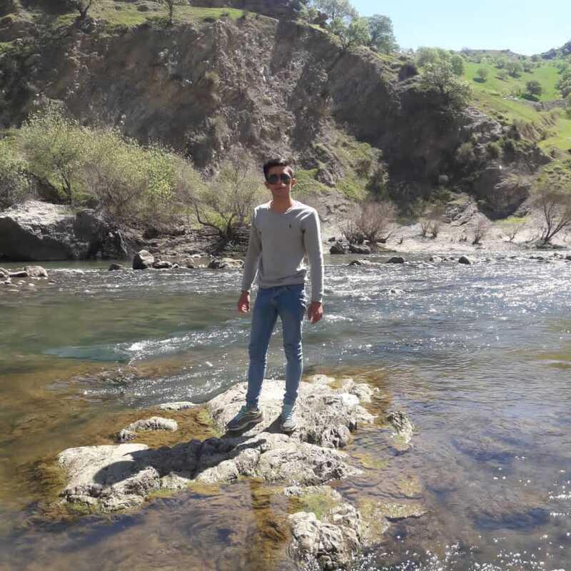 محسن قهرمانی