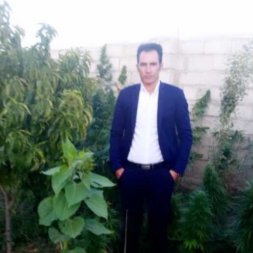 داور شاکر