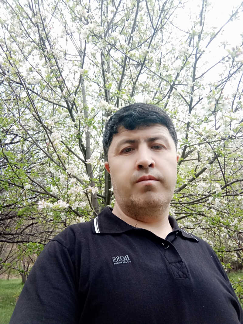 provider user card avatar