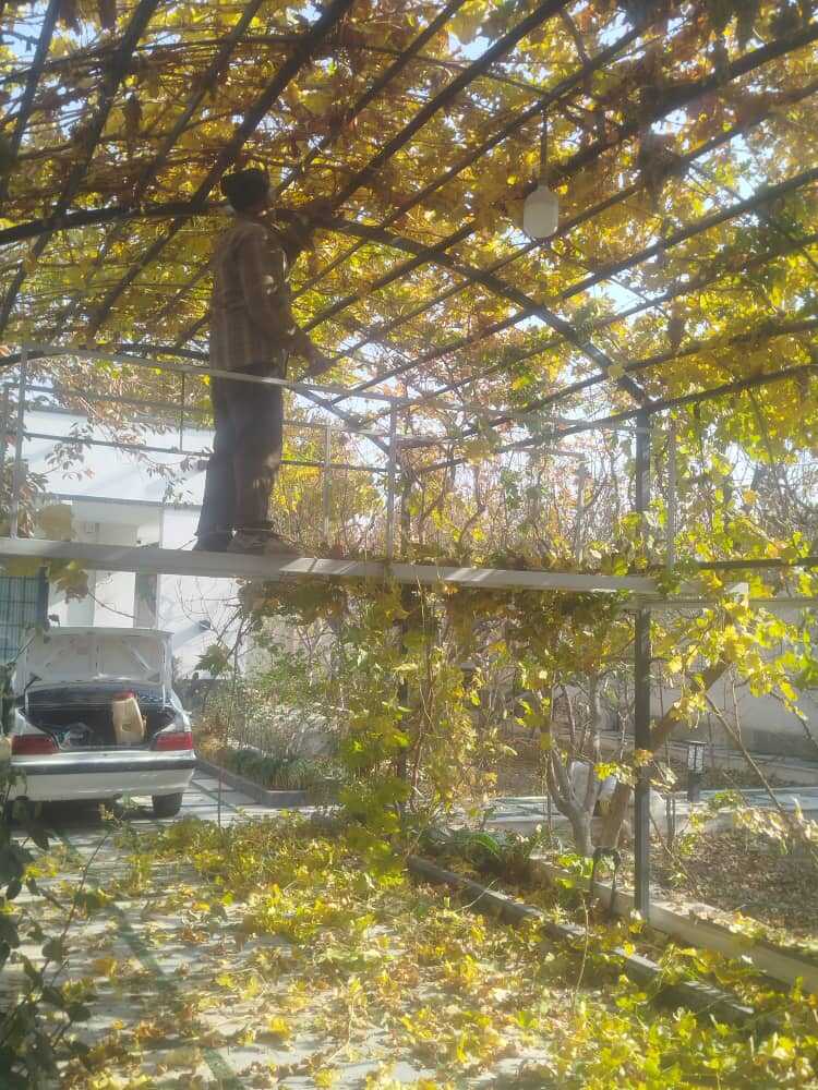 provider user card avatar