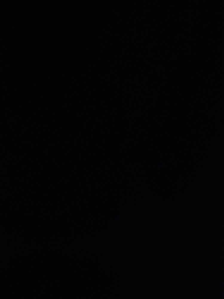 provider user card avatar