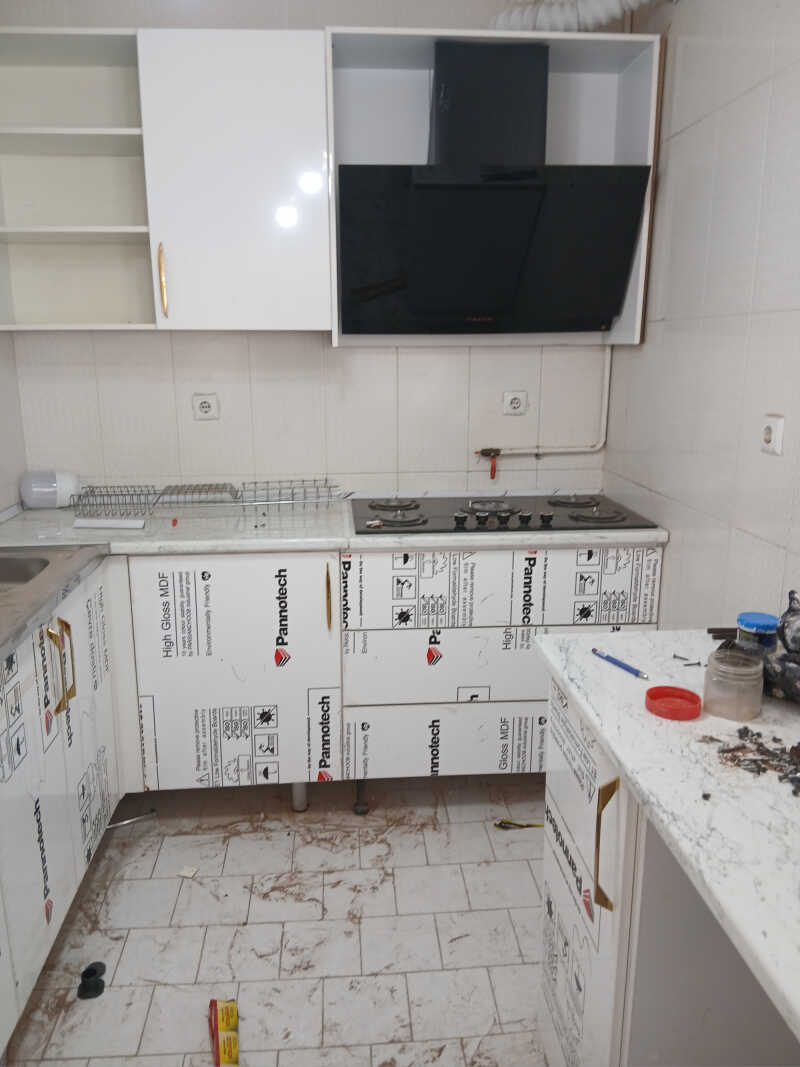 مسعود حاجی زاده