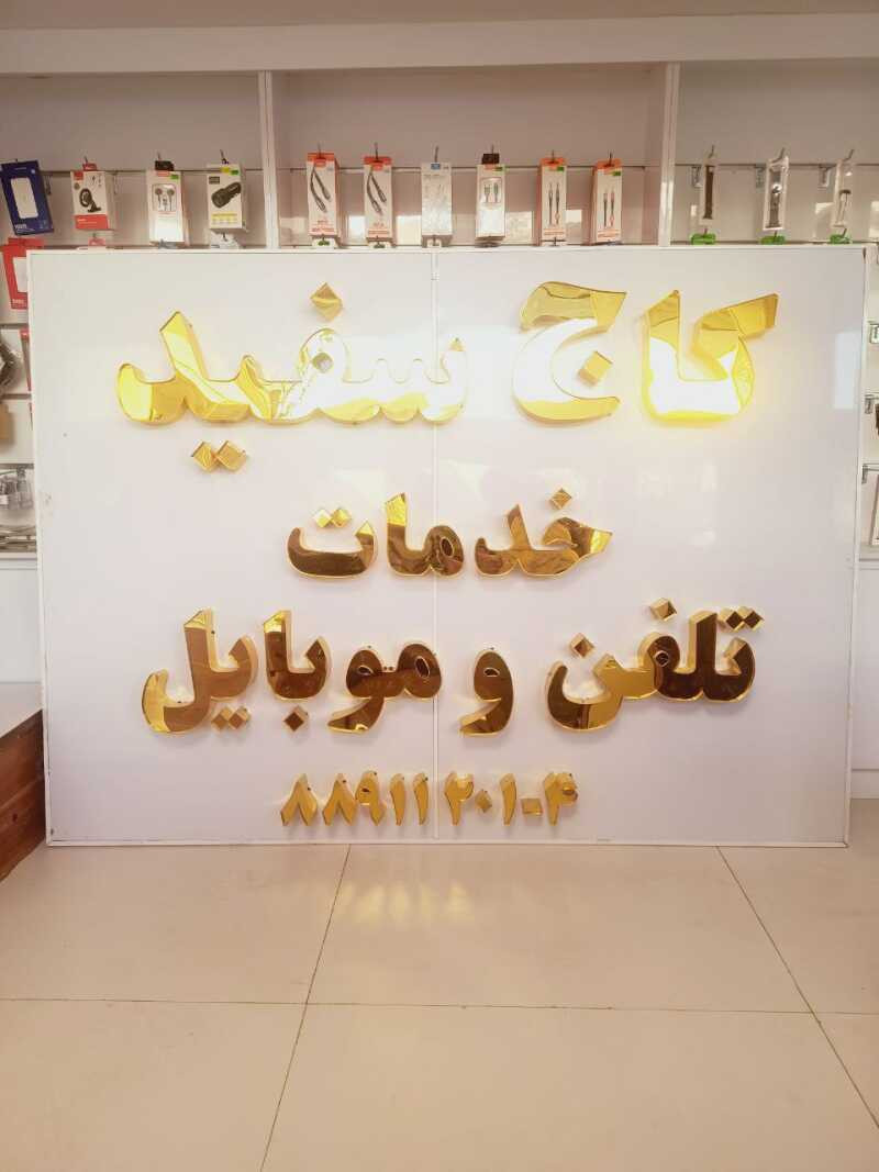 ساغر علی نژاد