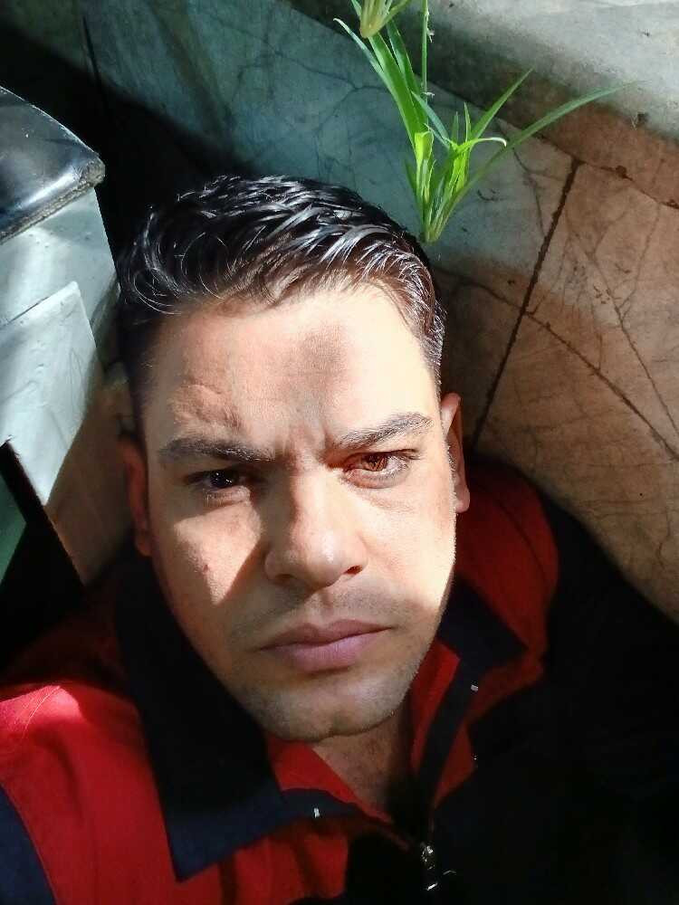 وحید سلیمی