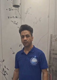 مجتبی شوقی
