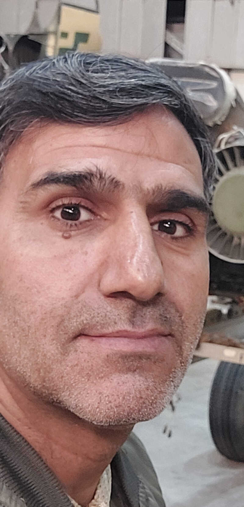 مهدی گلستانی