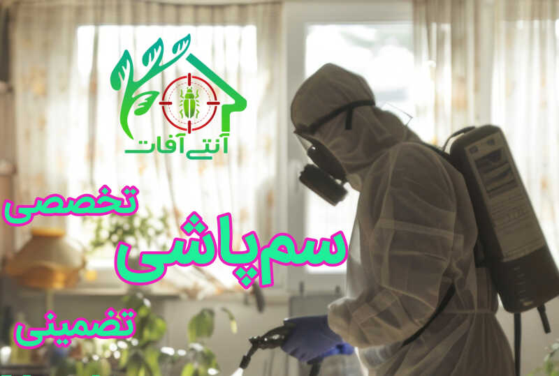 شرکت پاک اندیشان نیک بهپاش