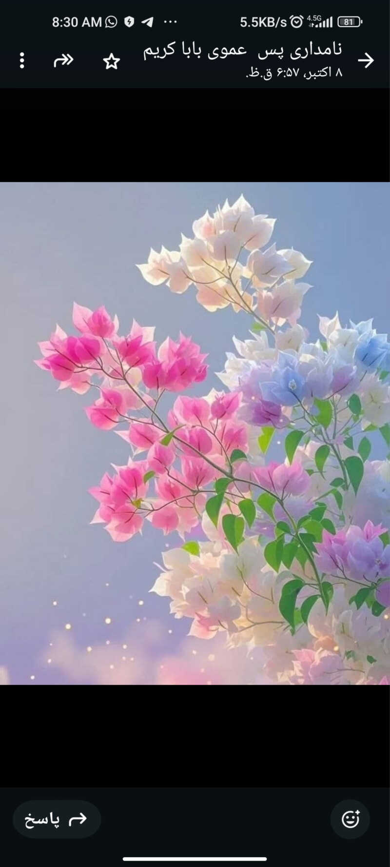 زینب نامداری