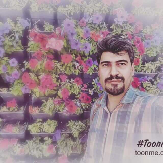 مصطفی بهرامی