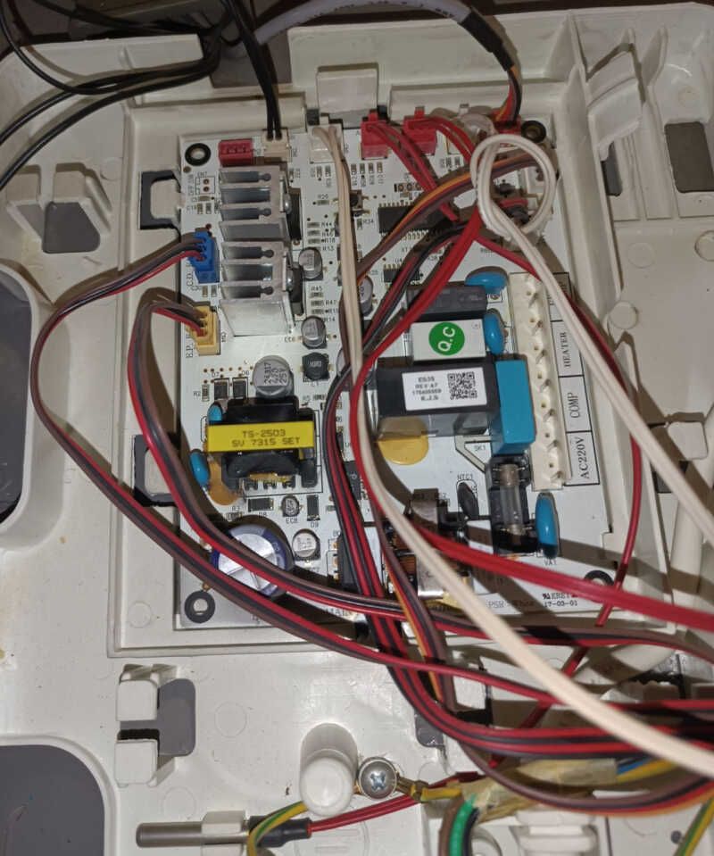 نسرین سنچولی