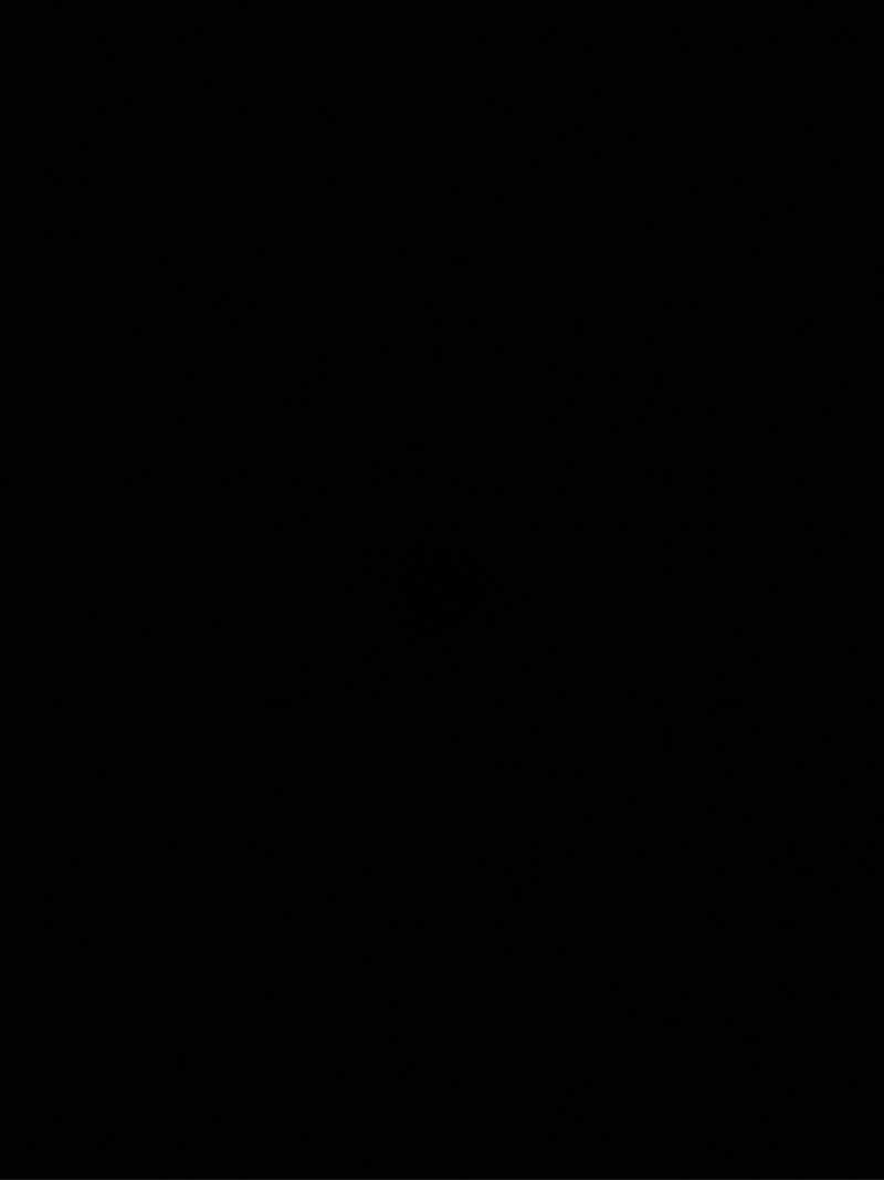 داوود جمشیدی