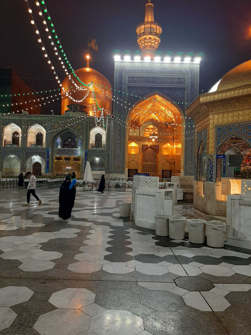 محمدرضا امیری