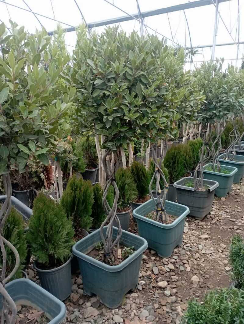 provider user card avatar