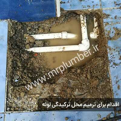 provider user card avatar