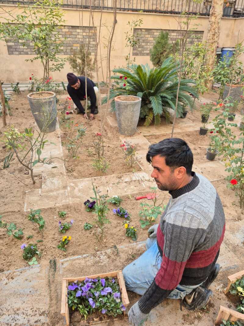 provider user card avatar