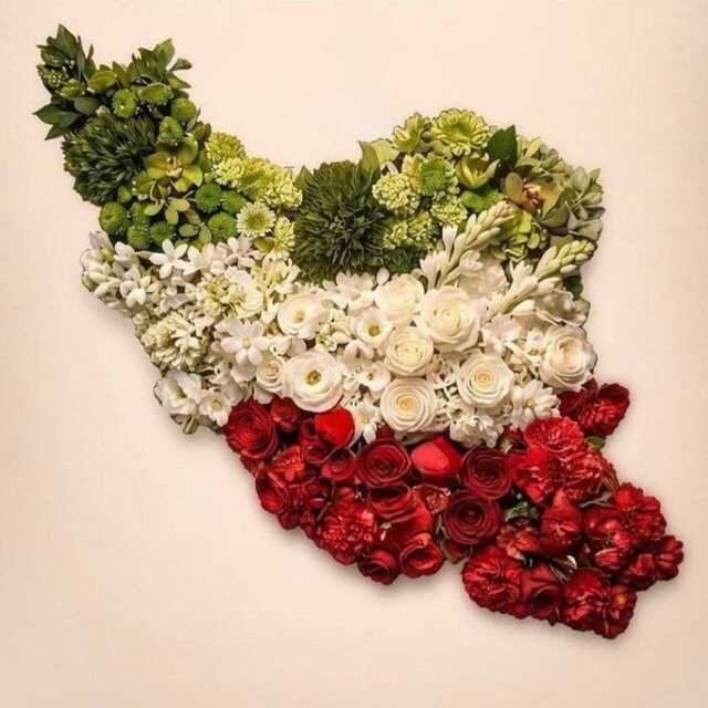 provider user card avatar