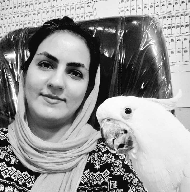 provider user card avatar