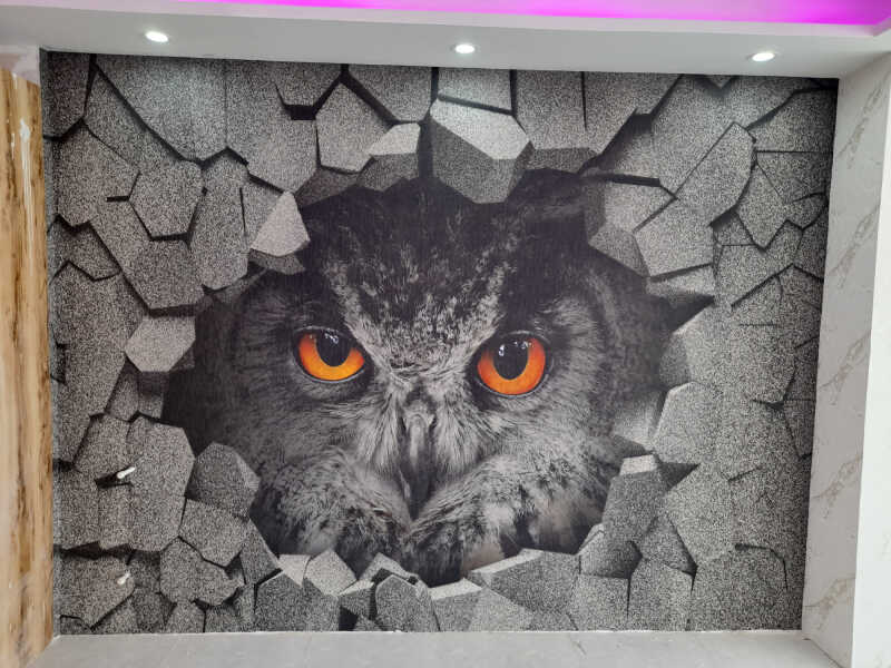 محمود عباسی