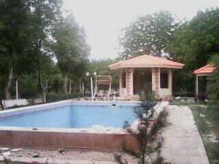 الله نظر نباتیان قره چشمه