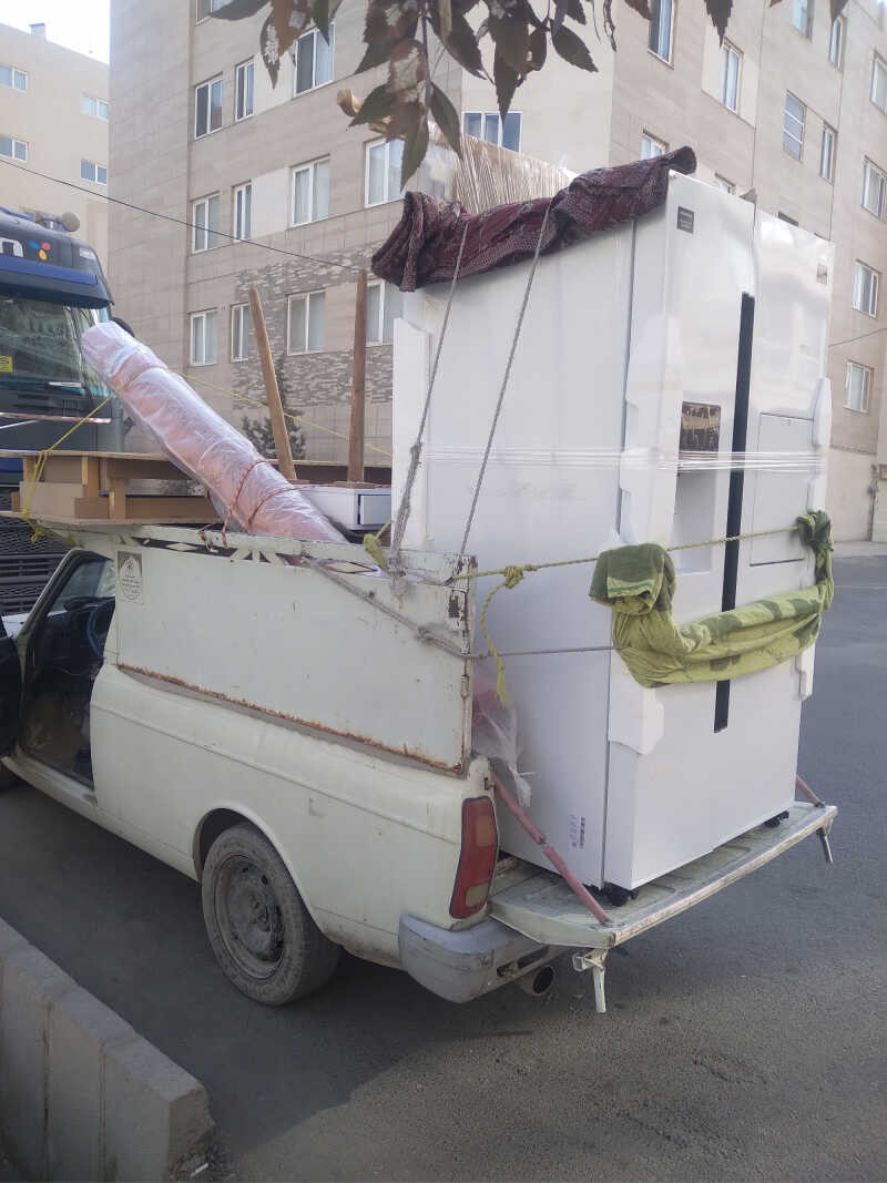 هادی طیوری
