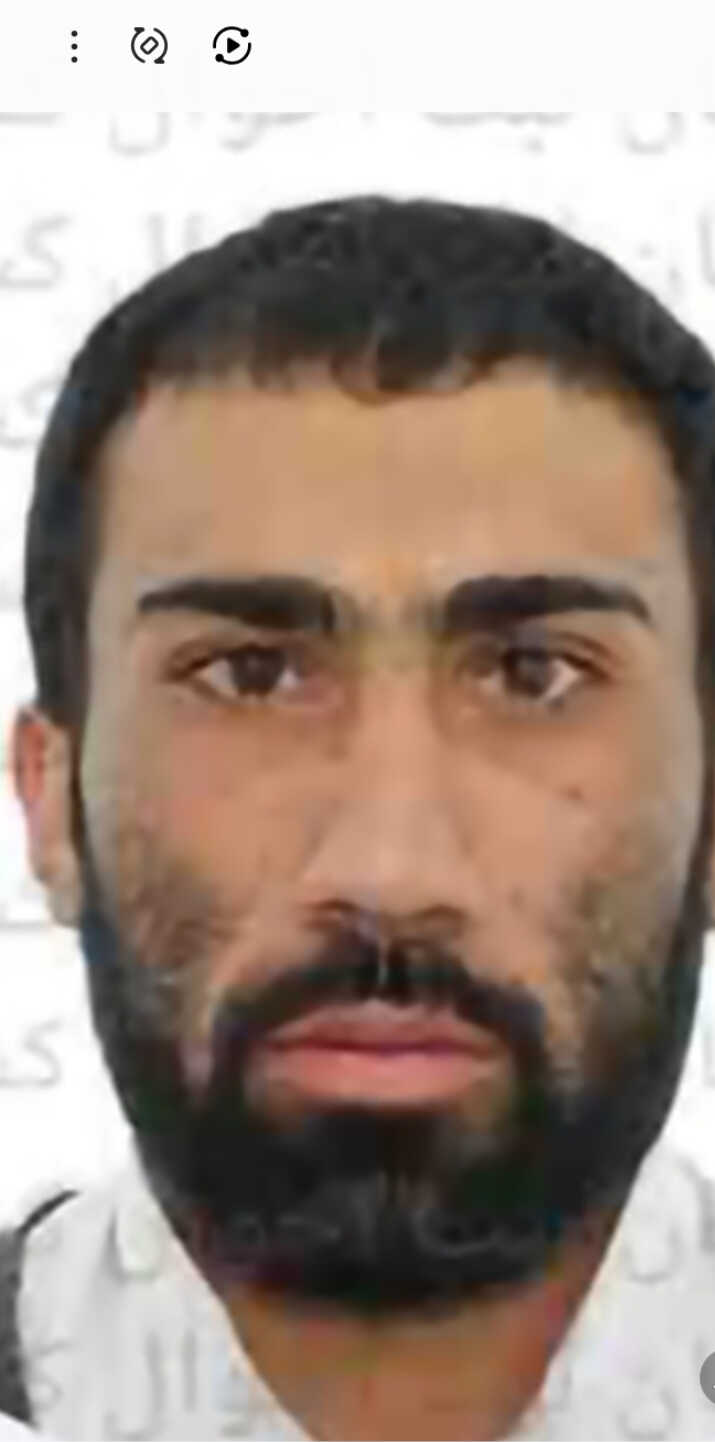 علی تیمورپور